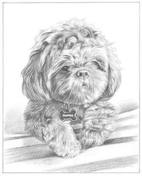 Hand Drawn Pencil Portraits from Photos | Pencil Portrait Drawing | Pencil Sketch Artists