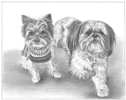 Hand Drawn Pencil Portraits from Photos | Pencil Portrait Drawing | Pencil Sketch Artists
