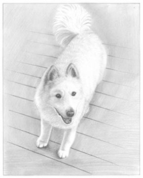 Hand Drawn Pencil Portraits from Photos | Pencil Portrait Drawing | Pencil Sketch Artists