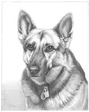 Hand Drawn Pencil Portraits from Photos | Pencil Portrait Drawing | Pencil Sketch Artists