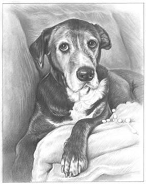 Hand Drawn Pencil Portraits from Photos | Pencil Portrait Drawing | Pencil Sketch Artists