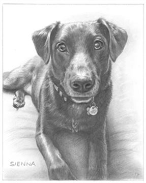 Hand Drawn Pencil Portraits from Photos | Pencil Portrait Drawing | Pencil Sketch Artists