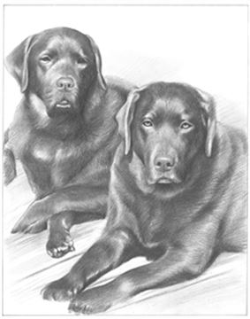 Hand Drawn Pencil Portraits from Photos | Pencil Portrait Drawing | Pencil Sketch Artists