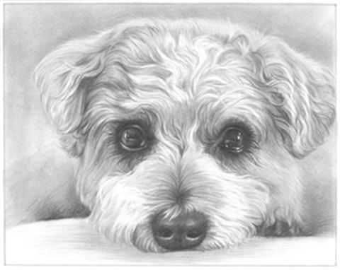 Hand Drawn Pencil Portraits from Photos | Pencil Portrait Drawing | Pencil Sketch Artists