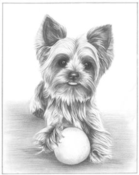Hand Drawn Pencil Portraits from Photos | Pencil Portrait Drawing | Pencil Sketch Artists