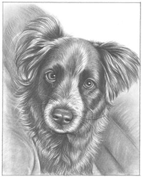 Hand Drawn Pencil Portraits from Photos | Pencil Portrait Drawing | Pencil Sketch Artists