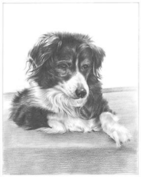 Hand Drawn Pencil Portraits from Photos | Pencil Portrait Drawing | Pencil Sketch Artists