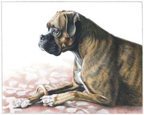 Hand Drawn Colored Pencil Portraits from Photos | Colored Pencil Drawings from Photos