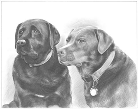 Hand Drawn Pencil Portraits from Photos | Pencil Portrait Drawing | Pencil Sketch Artists