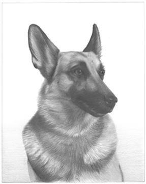 Hand Drawn Pencil Portraits from Photos | Pencil Portrait Drawing | Pencil Sketch Artists