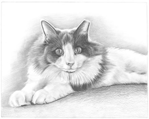 Hand Drawn Pencil Portraits from Photos | Pencil Portrait Drawing | Pencil Sketch Artists