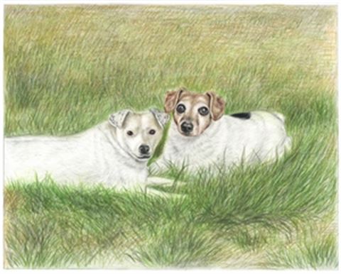 Hand Drawn Colored Pencil Portraits from Photos | Colored Pencil Drawings from Photos