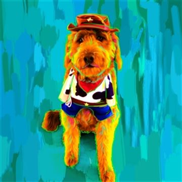1 Panel Pop Art Portraits from Photos