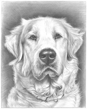 Hand Drawn Pencil Portraits from Photos | Pencil Portrait Drawing | Pencil Sketch Artists