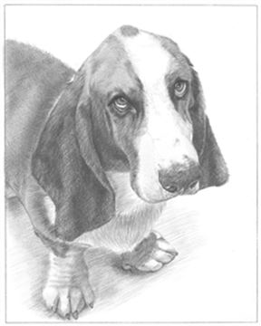 Hand Drawn Pencil Portraits from Photos | Pencil Portrait Drawing | Pencil Sketch Artists