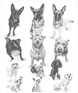 Hand Drawn Pencil Portraits from Photos | Pencil Portrait Drawing | Pencil Sketch Artists