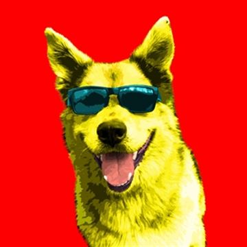 1 Panel Pop Art Portraits from Photos