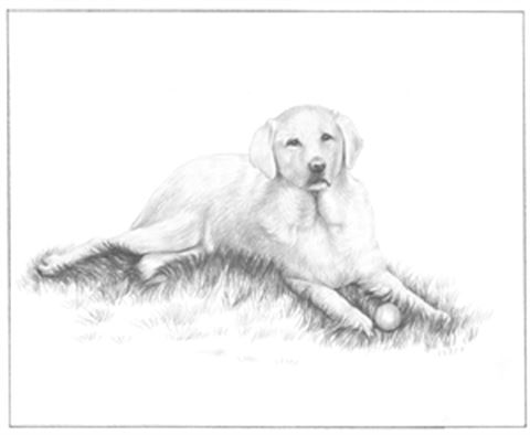 Hand Drawn Pencil Portraits from Photos | Pencil Portrait Drawing | Pencil Sketch Artists