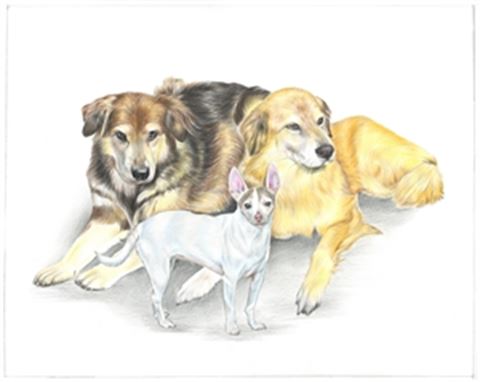 Hand Drawn Colored Pencil Portraits from Photos | Colored Pencil Drawings from Photos