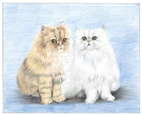 Hand Drawn Colored Pencil Portraits from Photos | Colored Pencil Drawings from Photos