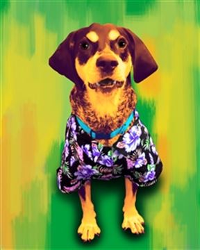 1 Panel Pop Art Portraits from Photos