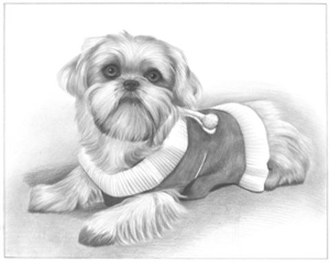 Hand Drawn Pencil Portraits from Photos | Pencil Portrait Drawing | Pencil Sketch Artists