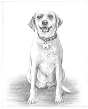 Hand Drawn Pencil Portraits from Photos | Pencil Portrait Drawing | Pencil Sketch Artists