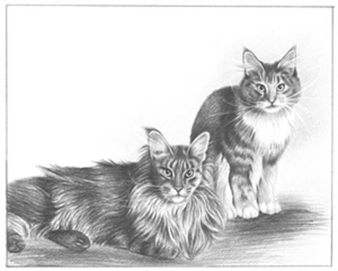 Hand Drawn Pencil Portraits from Photos | Pencil Portrait Drawing | Pencil Sketch Artists
