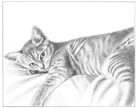 Hand Drawn Pencil Portraits from Photos | Pencil Portrait Drawing | Pencil Sketch Artists