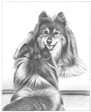 Hand Drawn Pencil Portraits from Photos | Pencil Portrait Drawing | Pencil Sketch Artists
