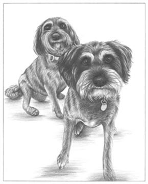 Hand Drawn Pencil Portraits from Photos | Pencil Portrait Drawing | Pencil Sketch Artists
