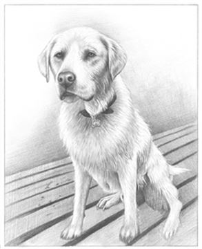 Hand Drawn Pencil Portraits from Photos | Pencil Portrait Drawing | Pencil Sketch Artists