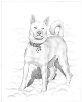 Hand Drawn Pencil Portraits from Photos | Pencil Portrait Drawing | Pencil Sketch Artists