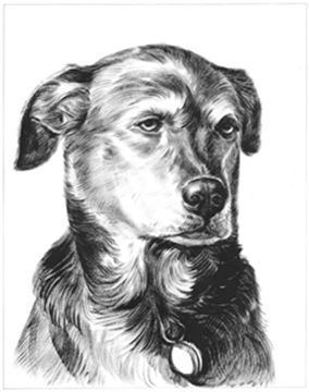 Hand Painted Ink Rendering Portraits from Photos