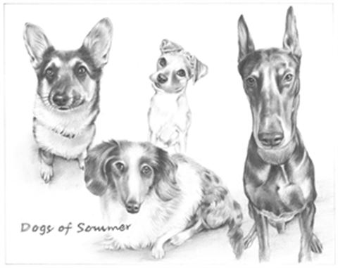 Hand Drawn Pencil Portraits from Photos | Pencil Portrait Drawing | Pencil Sketch Artists