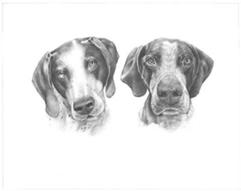 Hand Drawn Pencil Portraits from Photos | Pencil Portrait Drawing | Pencil Sketch Artists