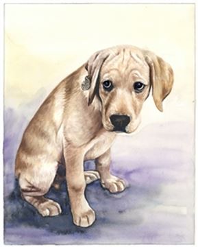 Hand-Painted Watercolor Portraits from Photos | Custom Watercolor Painting from Photo