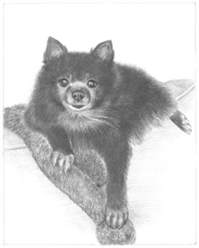 Hand Drawn Pencil Portraits from Photos | Pencil Portrait Drawing | Pencil Sketch Artists