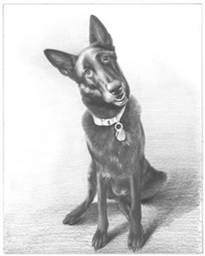 Hand Drawn Pencil Portraits from Photos | Pencil Portrait Drawing | Pencil Sketch Artists