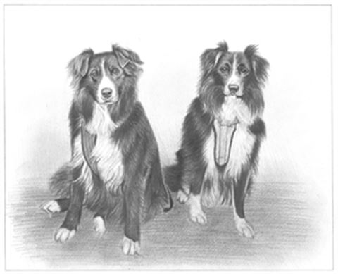 Hand Drawn Pencil Portraits from Photos | Pencil Portrait Drawing | Pencil Sketch Artists