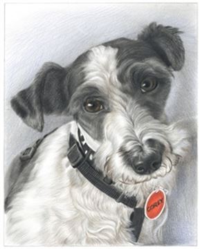 Hand Drawn Colored Pencil Portraits from Photos | Colored Pencil Drawings from Photos
