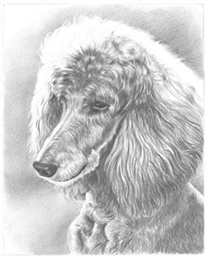Hand Drawn Pencil Portraits from Photos | Pencil Portrait Drawing | Pencil Sketch Artists