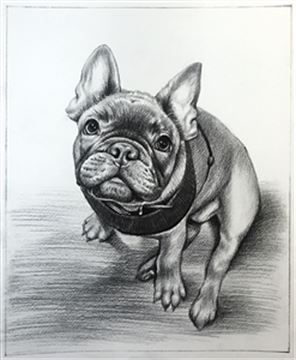 Hand Drawn Pencil Portraits from Photos | Pencil Portrait Drawing | Pencil Sketch Artists
