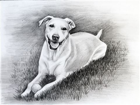 Hand Drawn Pencil Portraits from Photos | Pencil Portrait Drawing | Pencil Sketch Artists