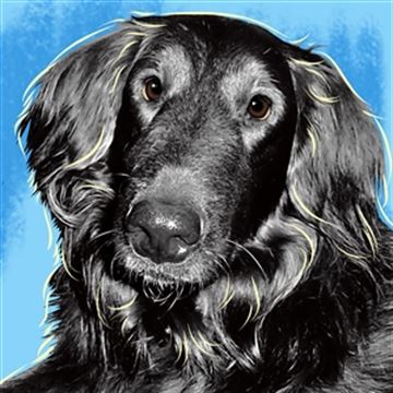 1 Panel Pop Art Portraits from Photos