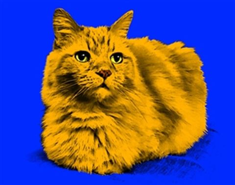 1 Panel Pop Art Portraits from Photos