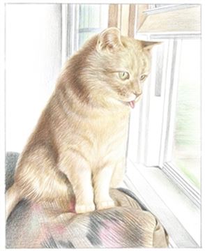 Hand Drawn Colored Pencil Portraits from Photos | Colored Pencil Drawings from Photos