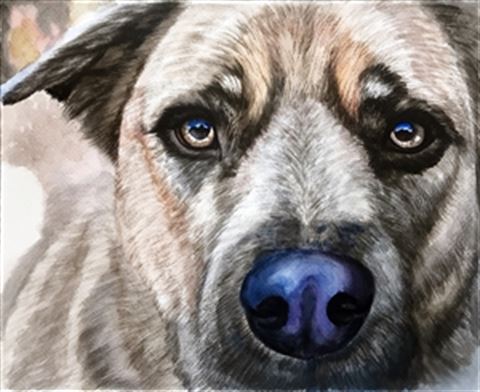 Hand-Painted Watercolor Portraits from Photos | Custom Watercolor Painting from Photo