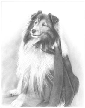 Hand Drawn Pencil Portraits from Photos | Pencil Portrait Drawing | Pencil Sketch Artists