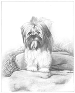 Hand Drawn Pencil Portraits from Photos | Pencil Portrait Drawing | Pencil Sketch Artists